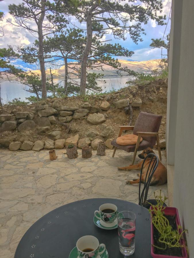 Yellow House Experience Apart otel Pag Island Dış mekan fotoğraf